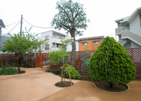 市川市・松戸市・浦安市の庭・雑草対策ならグリーンパトロール市川店 雑草なし!雑草取りから解放された庭