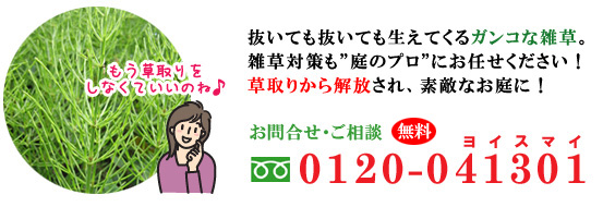 ガンコな雑草はプロにお任せ。草取りから解放され素敵な庭に。庭の雑草対策はグリーンパトロール(市川市・松戸市・浦安市)