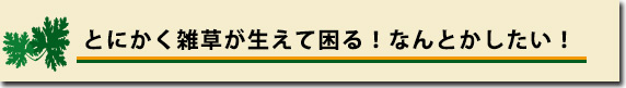 とにかく雑草が生えて困る!なんとかしたい。市川市・松戸市・浦安市の庭・雑草対策ならグリーンパトロール市川店
